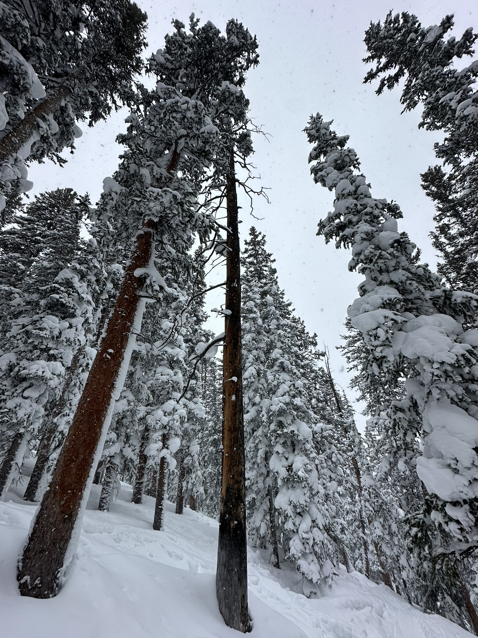 Skiing 4